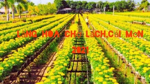 Mẹ Bỉm Sữa Ở Đà Nẵng Kiếm Tiền Từ Video Với Hotspot Matrix_Dịch vụ xây dựng video chuyên nghiệp