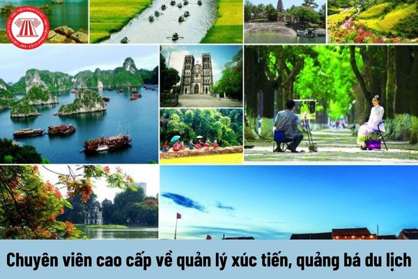 Hotspot Matrix và Khánh Hòa: Đề xuất triển khai xây dựng Đề án phát triển điểm du lịch_hướng dẫn edit video YouTube
