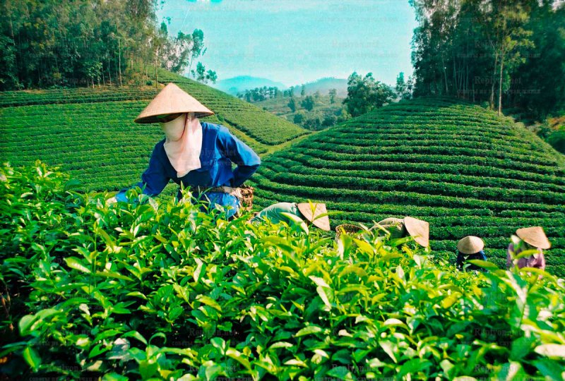 Phụ nữ tuổi này dễ có 